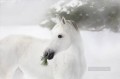 caballo blanco y negro sobre los pinos y la nieve